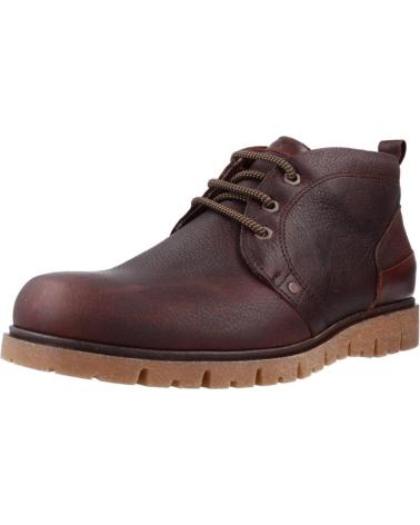 Chaussures pour Homme PITILLOS 4901P MARRON MARRóN