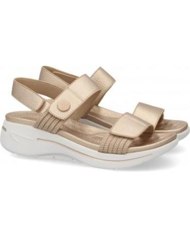 FLIP-FLOP SANDALS SPORT3PUNTO0 HLS-0692 WOMEN CHAMPAGNE VARIOS COLORES