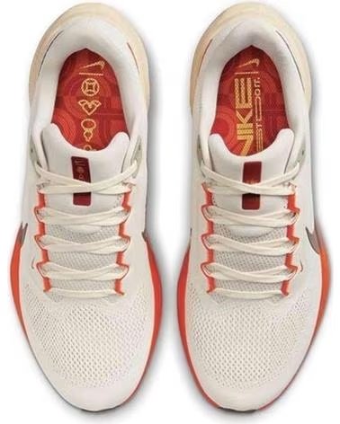 NIKE ZAPATILLAS DE RUNNING AIR ZOOM PEGASUS 41 IRONESTONE EN BEIGE PARA HOMBRE