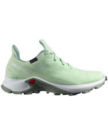 Woman Trainers SALOMON ALPHACROSS 3 GTX W  SPRAY-WHITE-WROUGHT IRON